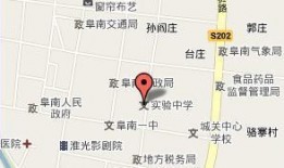 阜南实验中学最新爆料,揭秘校园风云背后的真相！”