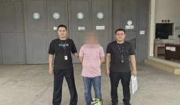 茂名诈骗爆料案件最新,揭秘新型诈骗手段及防范攻略